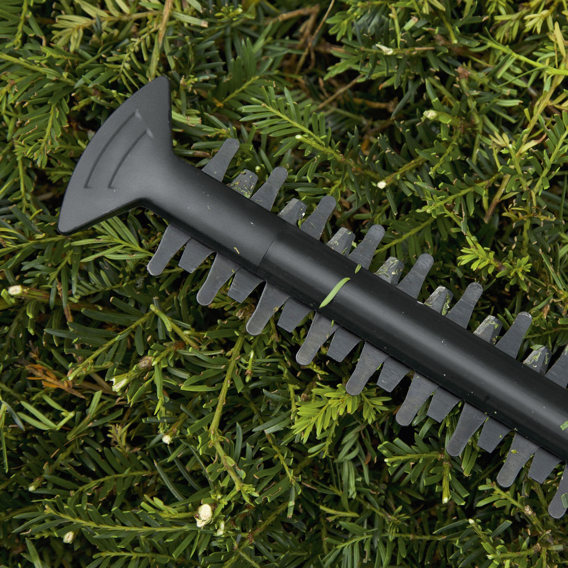 Bosch EasyHedgeCut 18-45 solo Akku-Heckenschere