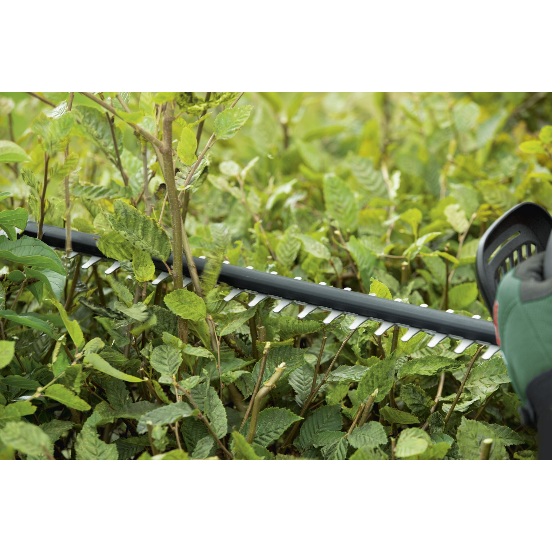 Bosch UniversalHedgeCut 18-50 solo Akku-Heckenschere